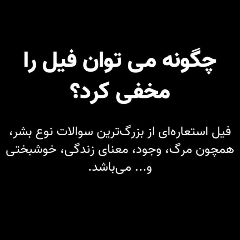 چگونه می‌توان فیل را مخفی کرد؟ جستاری کوتاه در باب معنای زندگی